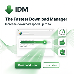IDM官网 - IDM延迟优化